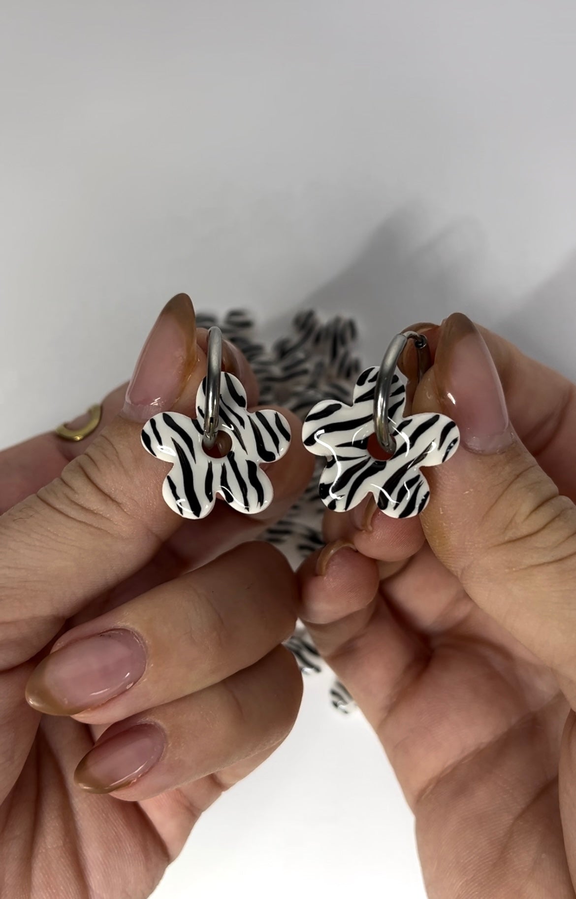 Aritos Zebra
