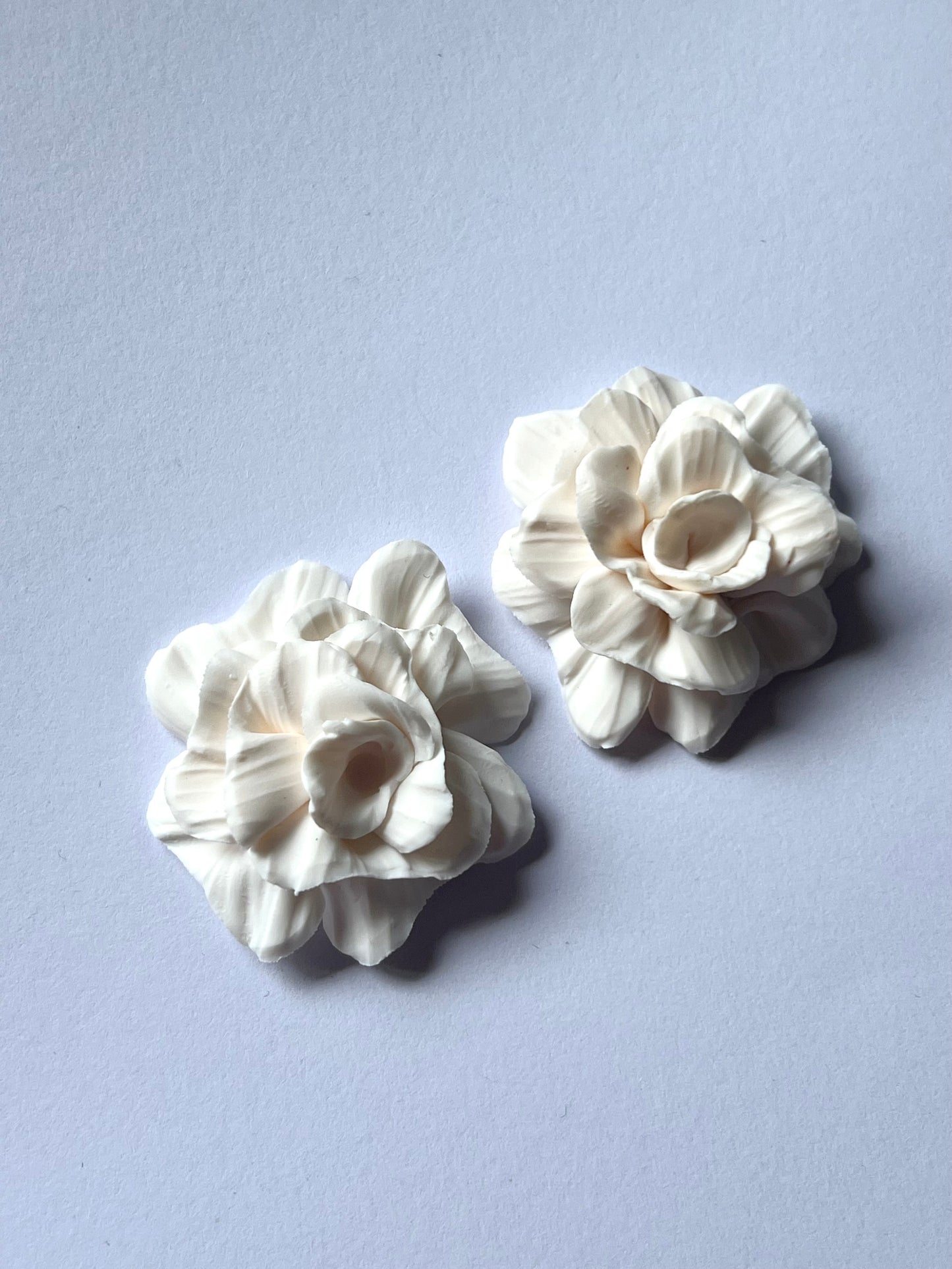 Mini Zarzamora Blanco