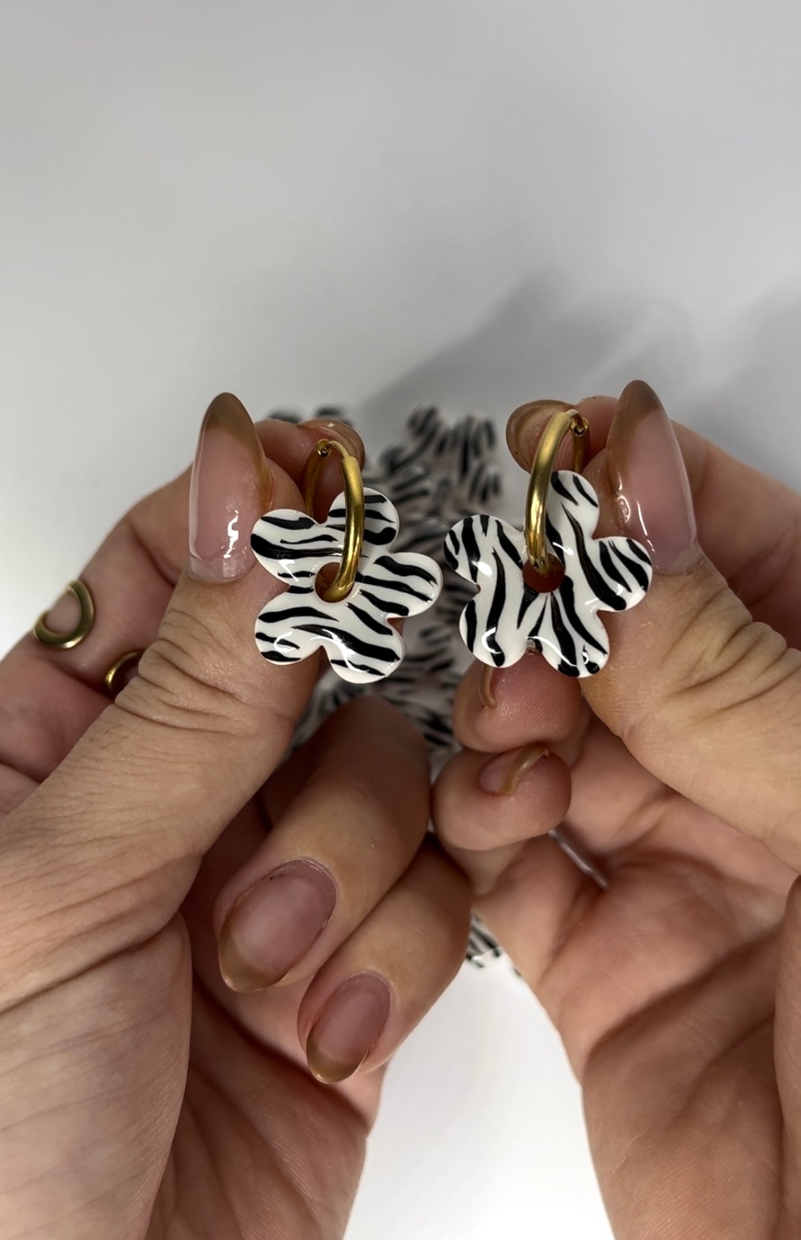 Aritos Zebra