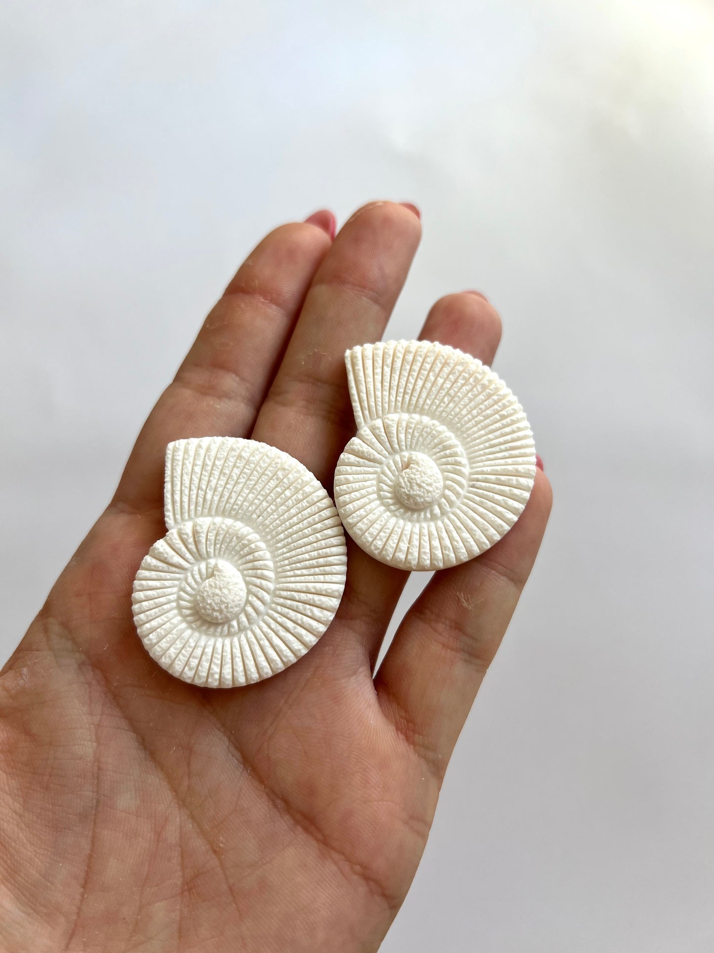 Caracola Blanca