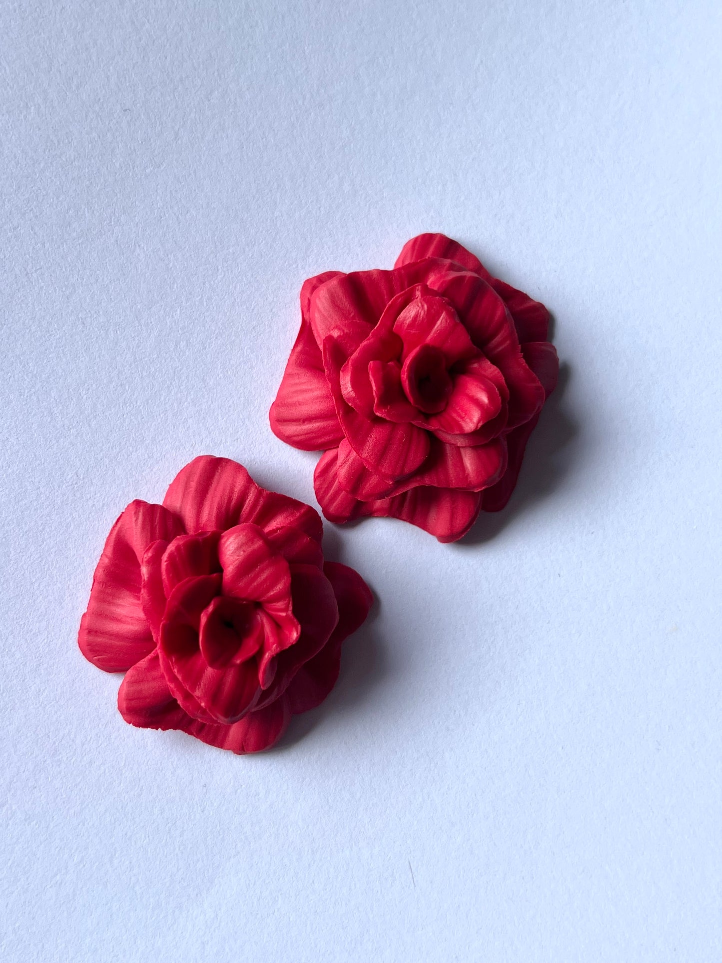 Mini Zarzamora Rojo