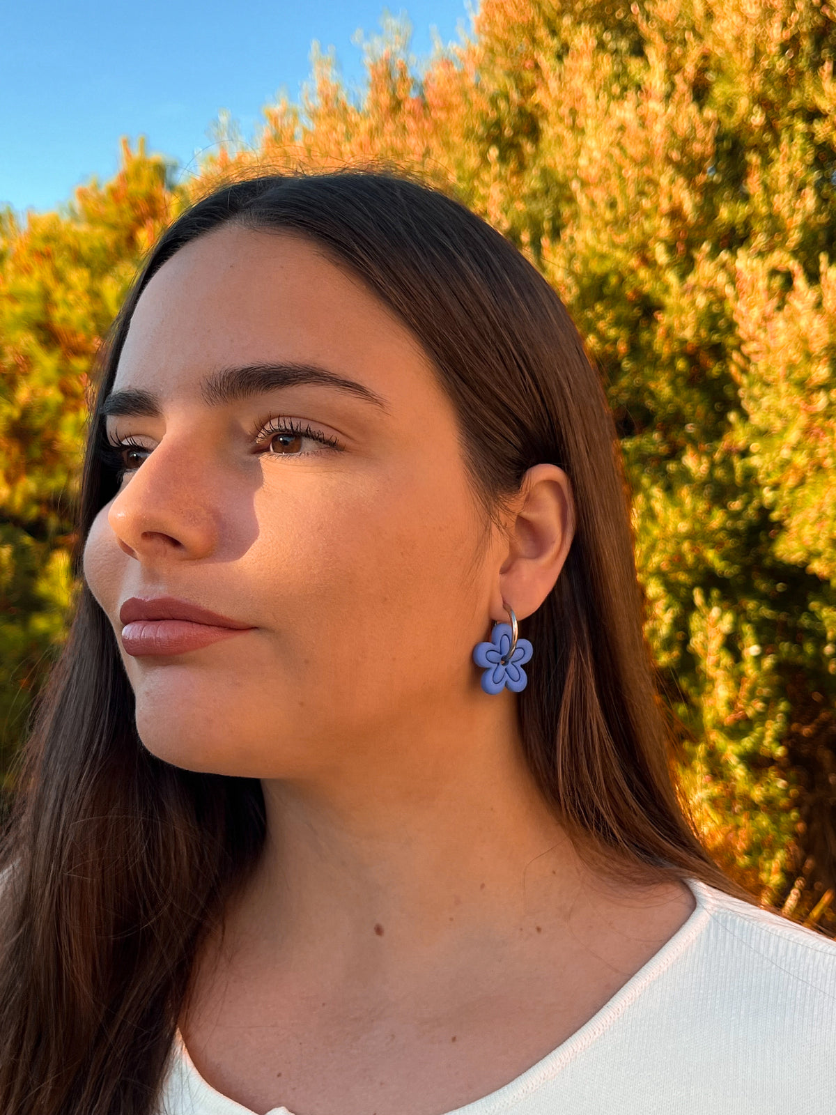 Aritos Maxi Otoño Azul