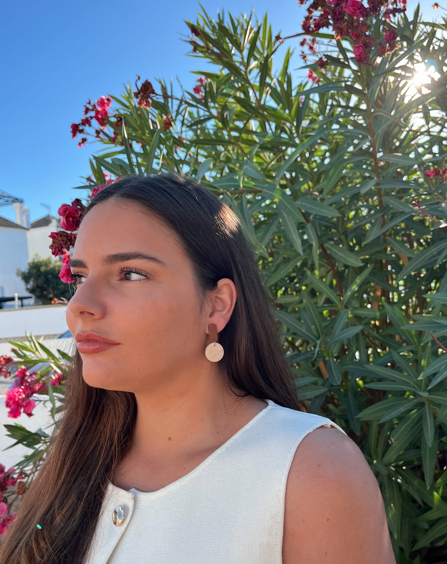 Nova Marrón