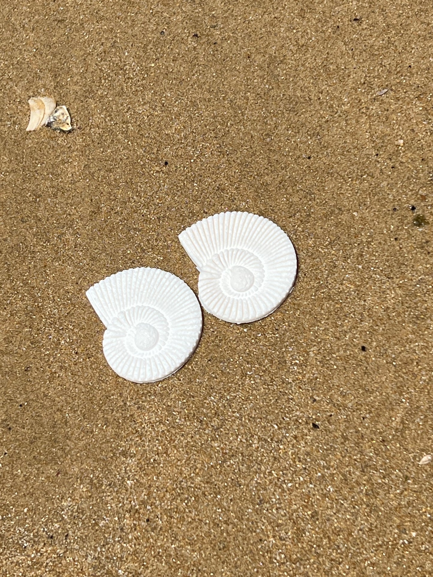 Caracola Blanca