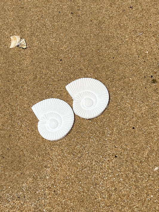 Caracola Blanca